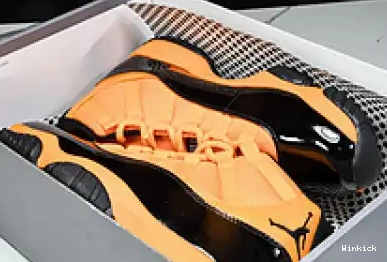Jordan Air 11 CT8012-800 0630
